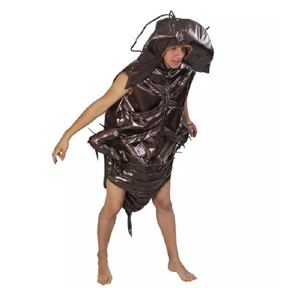 Insecte: Cafard