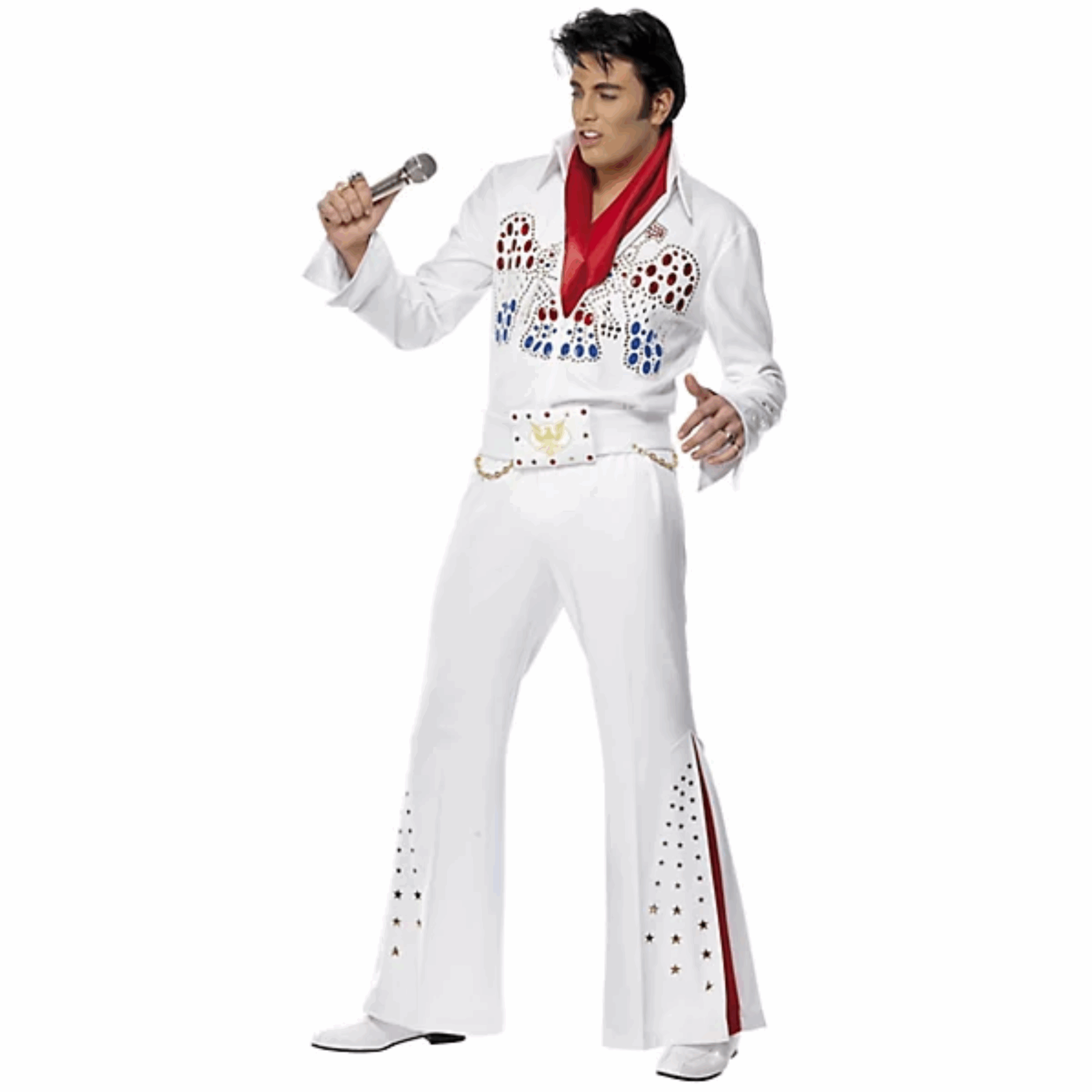 Chanteur : Elvis Presley