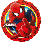 Ballon licence