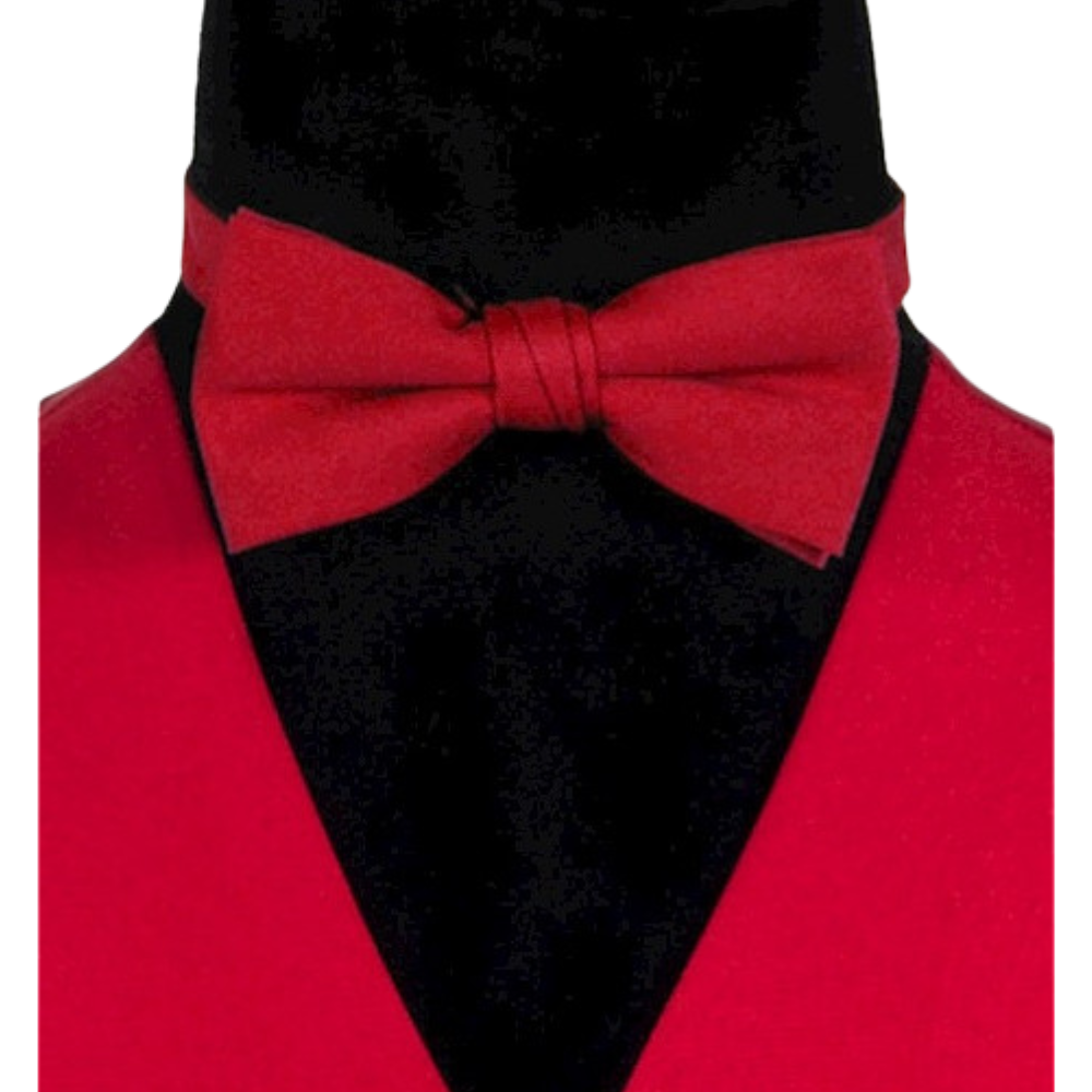 Noeud Papillon (5 couleurs)