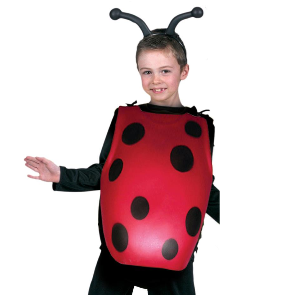 Set coccinelle