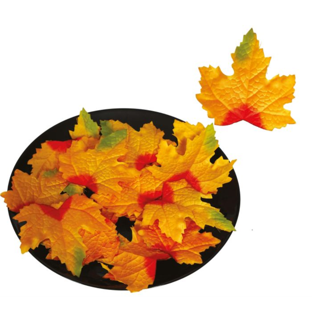 Feuilles automne