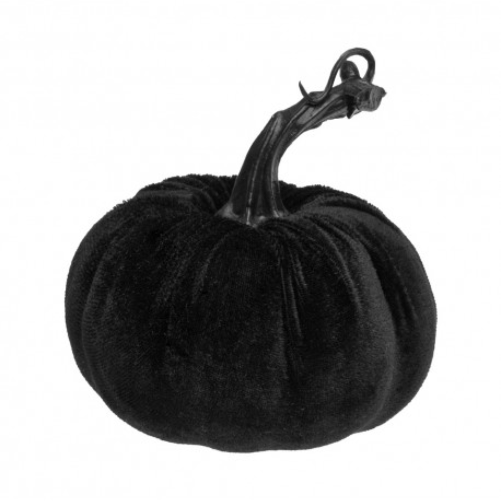 Citrouille velours noir