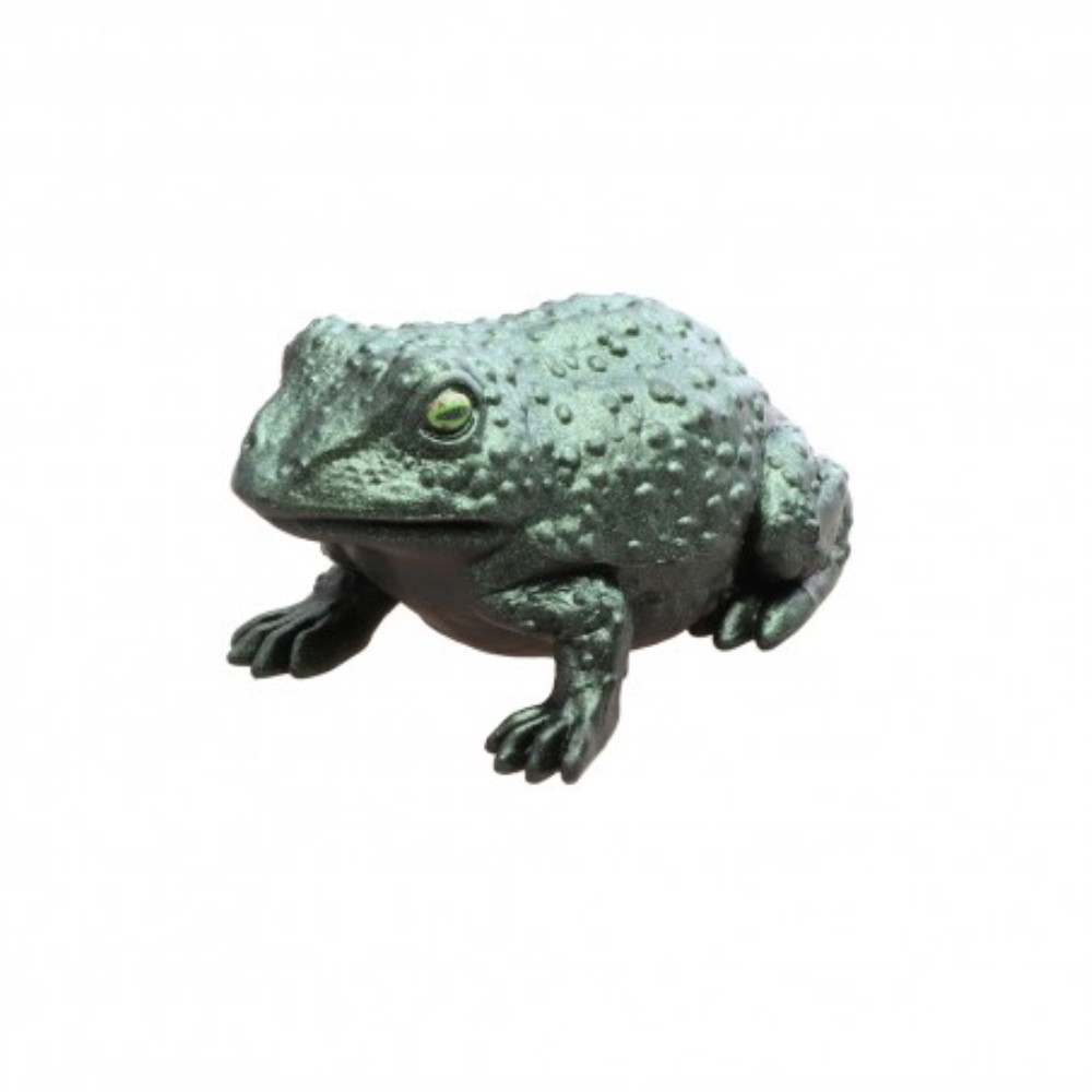 Crapaud vert irisé