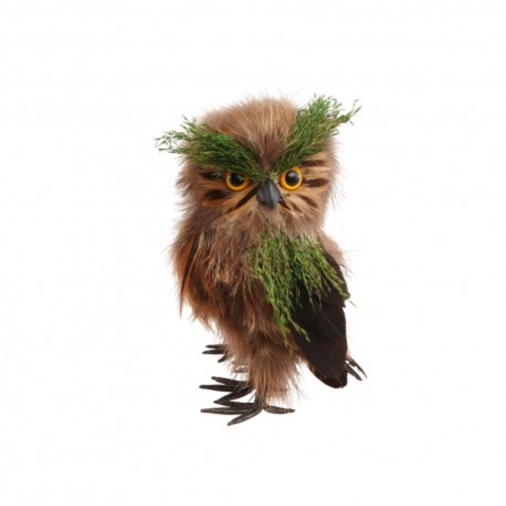Hibou de foret moyen