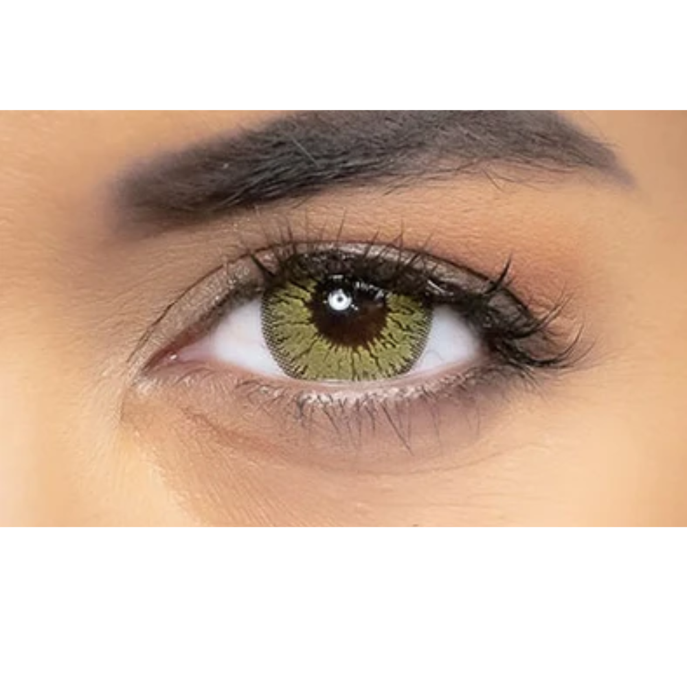 Lentilles annuelles Jewel Gold