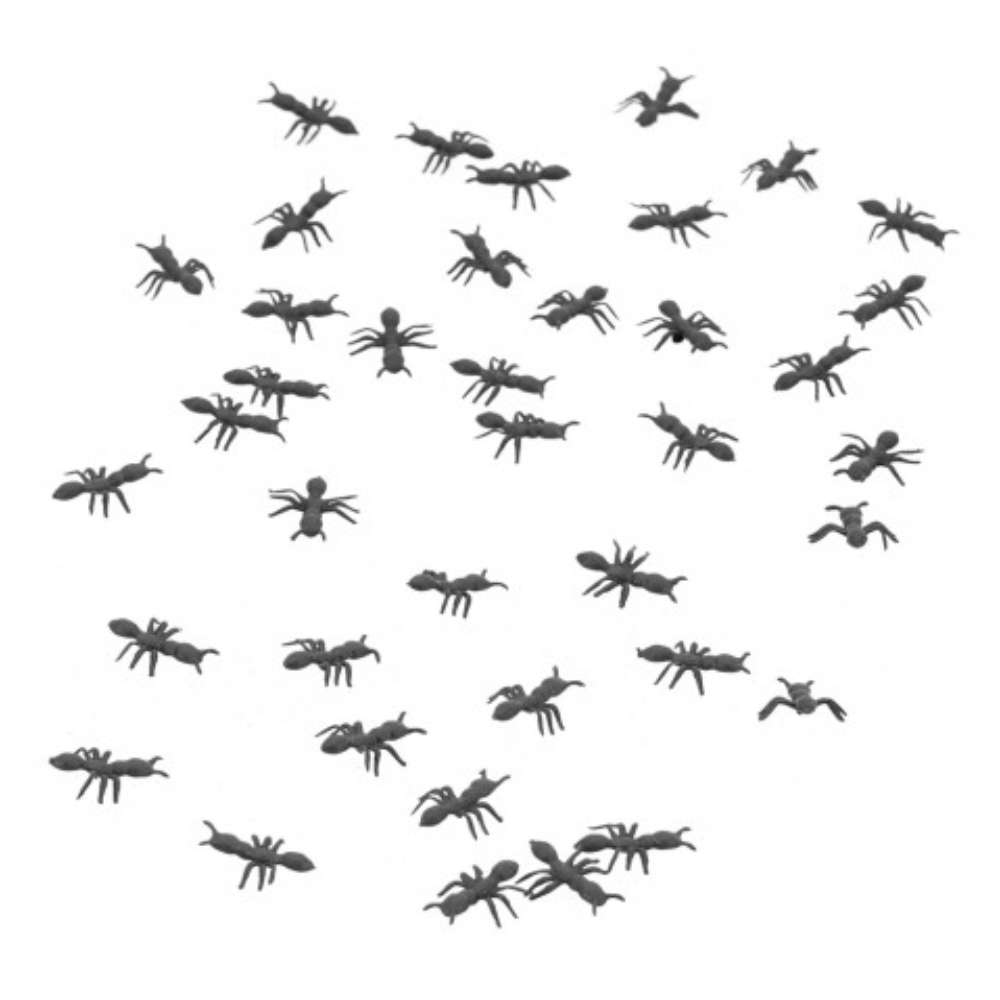 Fourmis 2cm x100