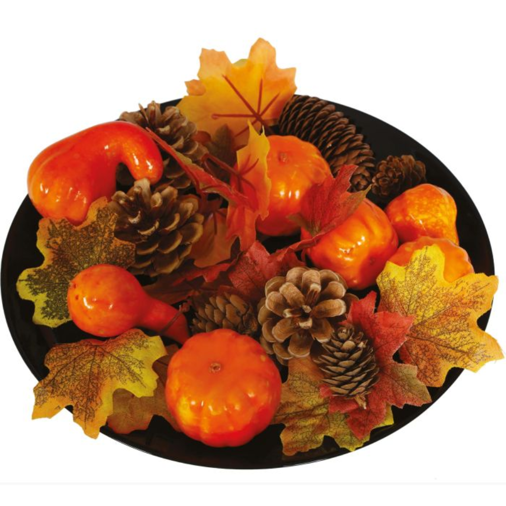 Set citrouilles et feuilles