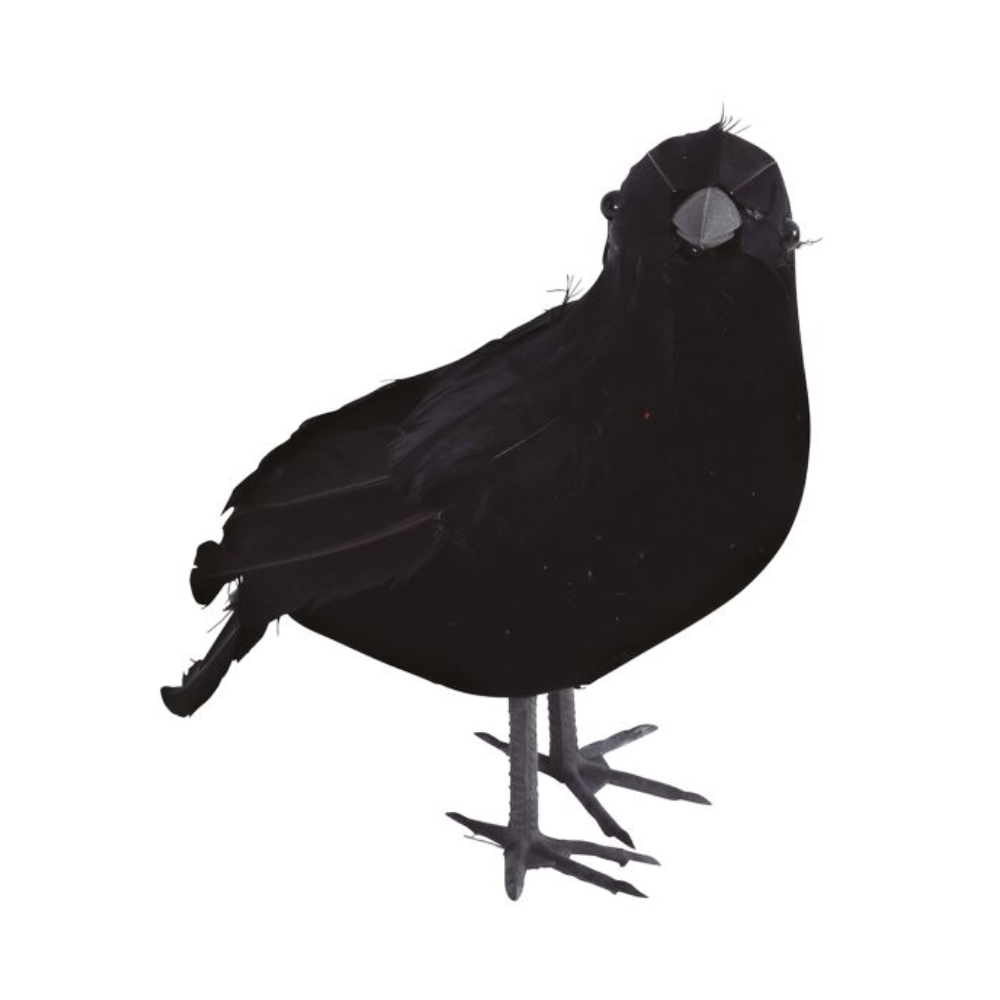 Corbeau 25cm