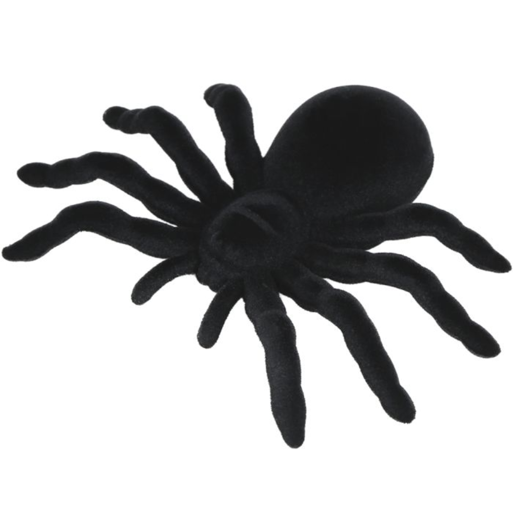Araignée 14cm