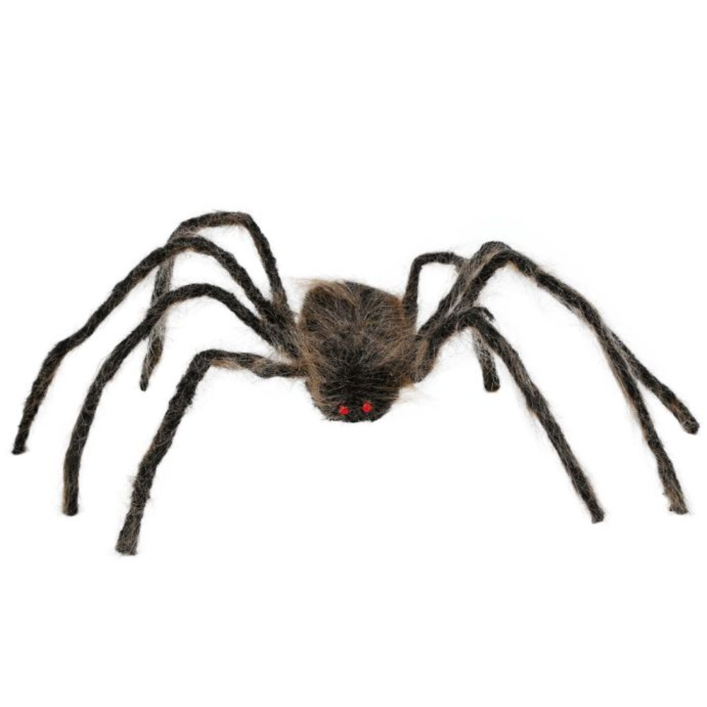Araignée marron 75 cm