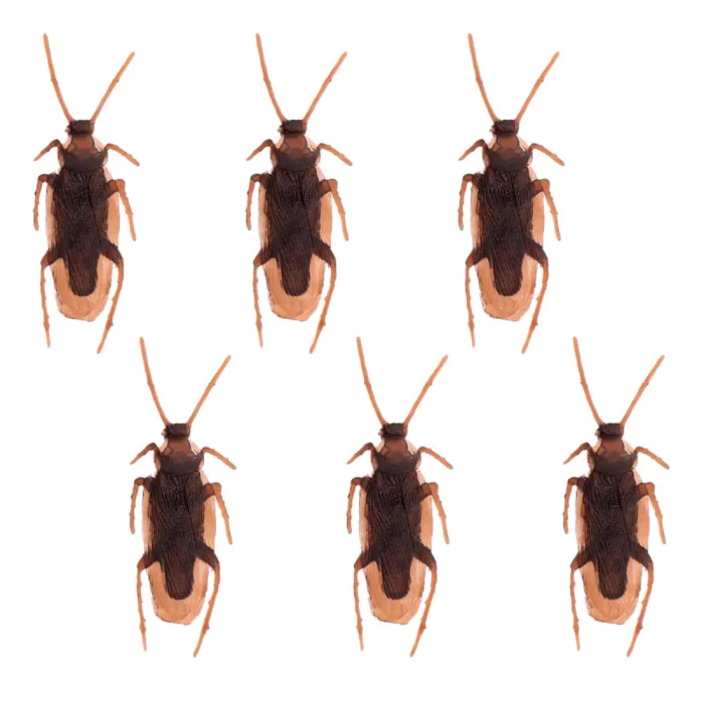 Cafards x6 7cm