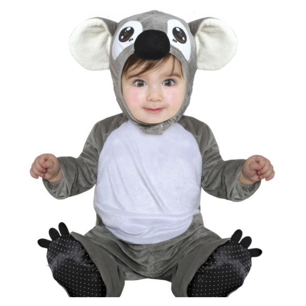 Bébé koala