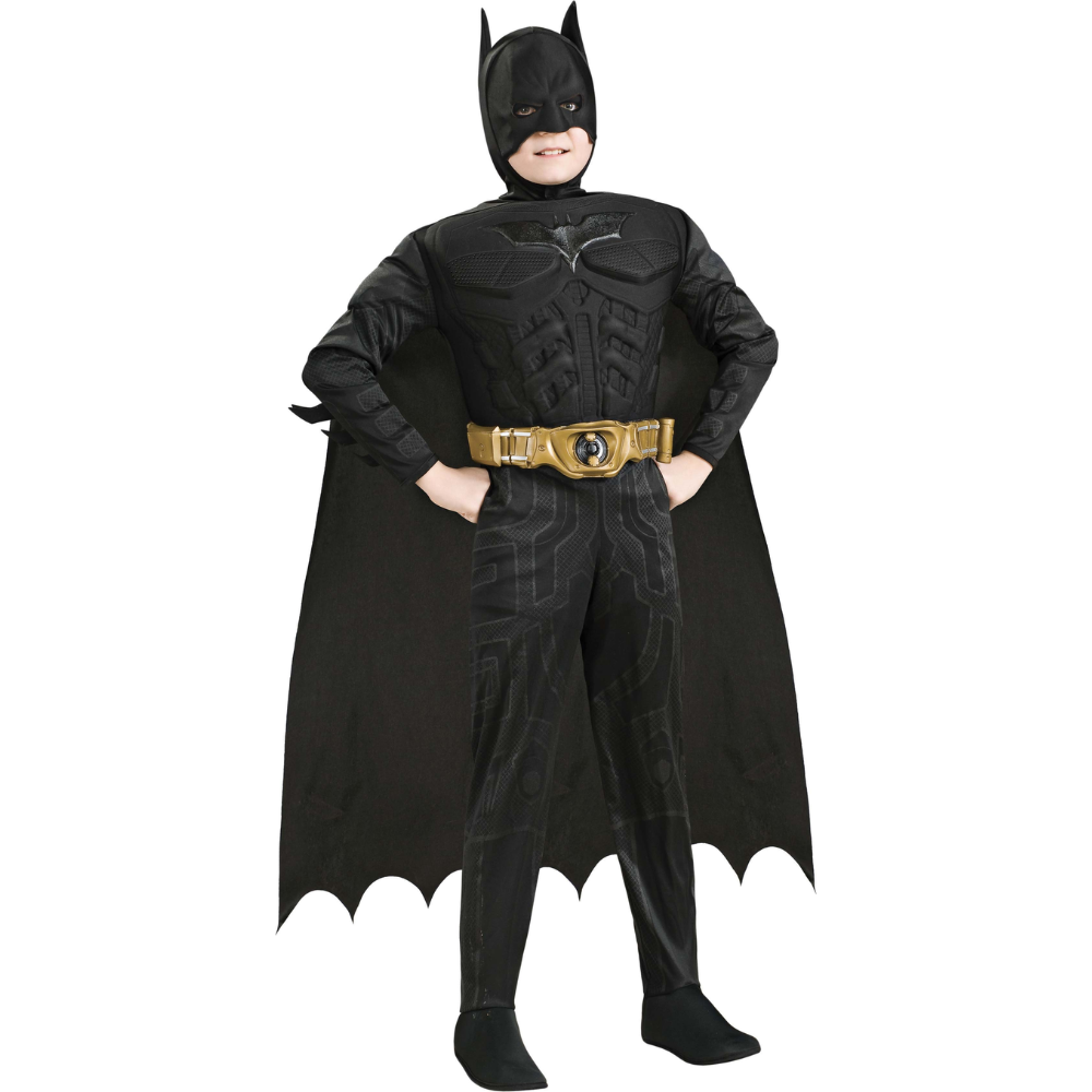 DC Comics : Batman Dark Knight Luxe