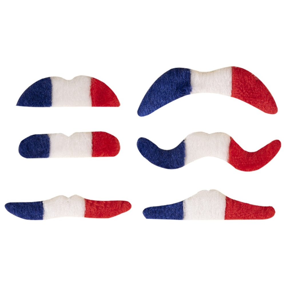 Lot de 5 moustache bleu blanc rouge